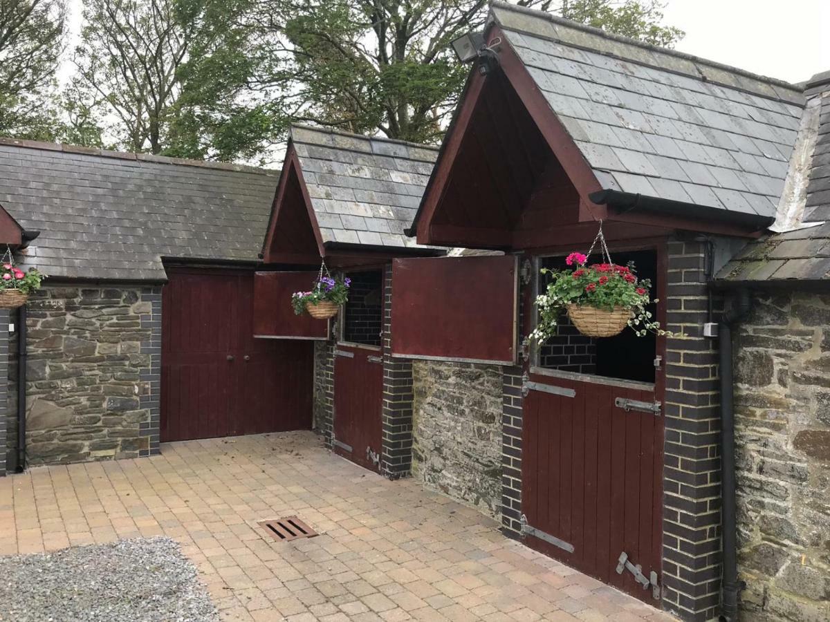 Bed and Breakfast Llangwyryfon Country Breaks Aberystwyth Exterior foto