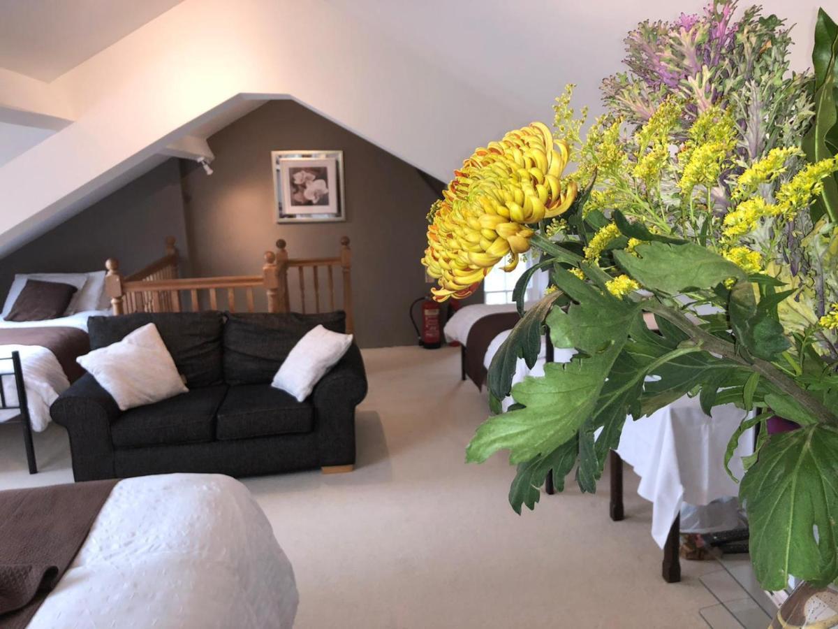 Bed and Breakfast Llangwyryfon Country Breaks Aberystwyth Exterior foto